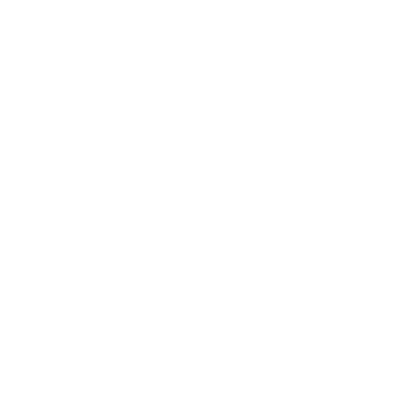 dev-l2